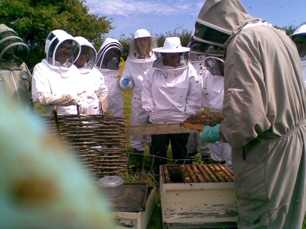 Horsington Bees